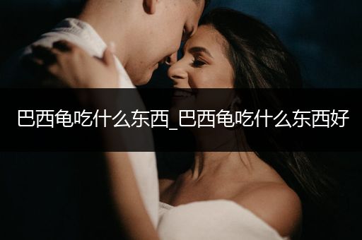 巴西龜吃什么東西_巴西龜吃什么東西好