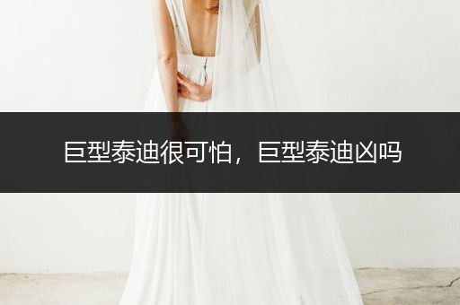 巨型泰迪很可怕，巨型泰迪兇嗎