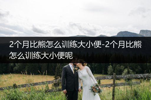 2個(gè)月比熊怎么訓(xùn)練大小便-2個(gè)月比熊怎么訓(xùn)練大小便呢