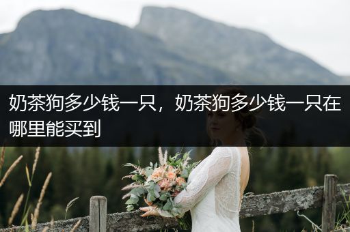 奶茶狗多少錢一只，奶茶狗多少錢一只在哪里能買到
