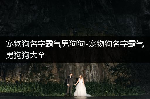 寵物狗名字霸氣男狗狗-寵物狗名字霸氣男狗狗大全