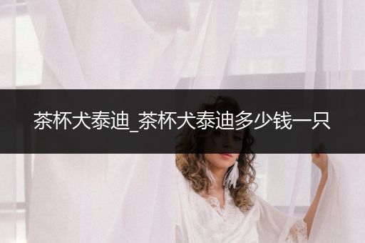 茶杯犬泰迪_茶杯犬泰迪多少錢一只