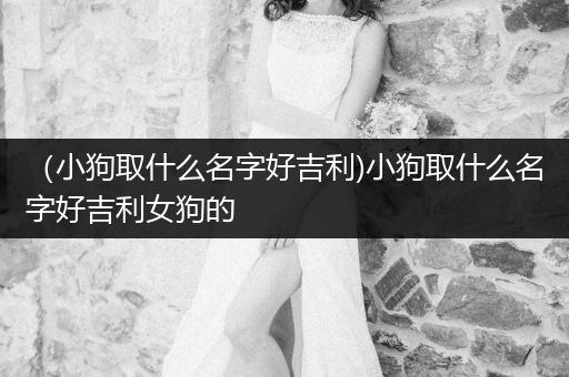 （小狗取什么名字好吉利)小狗取什么名字好吉利女狗的