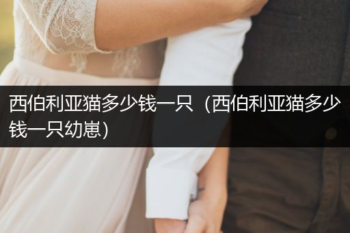 西伯利亞貓多少錢一只（西伯利亞貓多少錢一只幼崽）