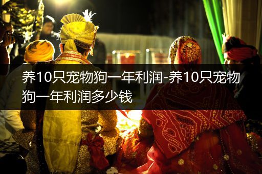 養(yǎng)10只寵物狗一年利潤(rùn)-養(yǎng)10只寵物狗一年利潤(rùn)多少錢