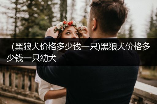 （黑狼犬價格多少錢一只)黑狼犬價格多少錢一只幼犬