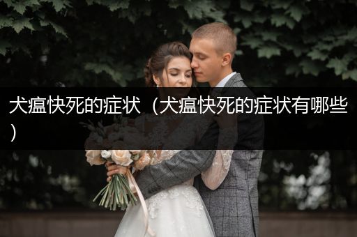 犬瘟快死的癥狀（犬瘟快死的癥狀有哪些）