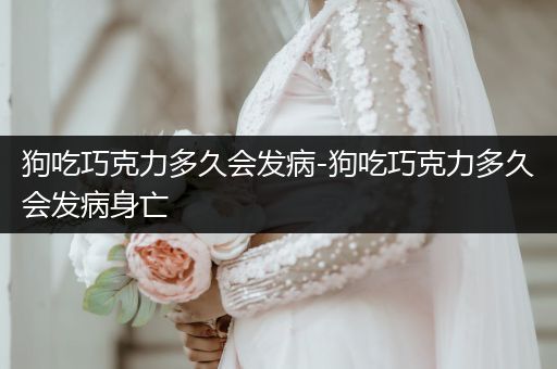 狗吃巧克力多久會(huì)發(fā)病-狗吃巧克力多久會(huì)發(fā)病身亡