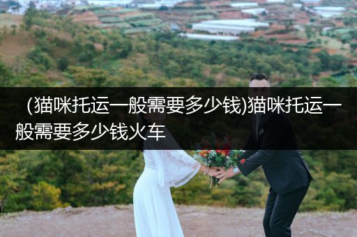 （貓咪托運(yùn)一般需要多少錢)貓咪托運(yùn)一般需要多少錢火車