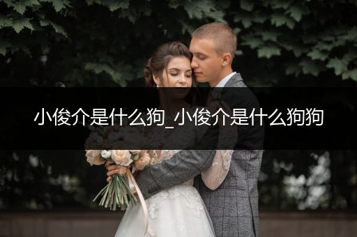 小俊介是什么狗_小俊介是什么狗狗