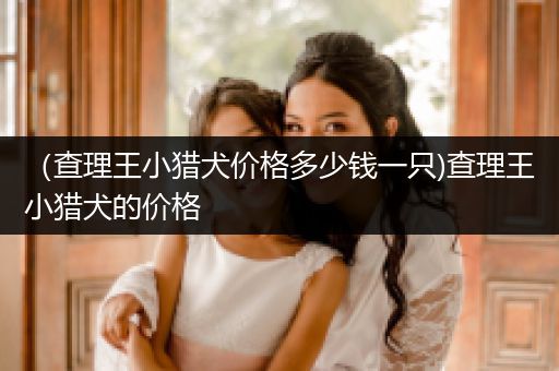 （查理王小獵犬價格多少錢一只)查理王小獵犬的價格