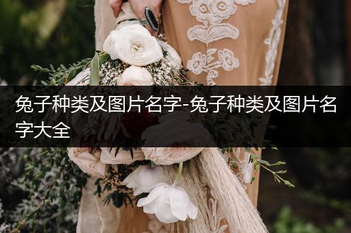 兔子種類及圖片名字-兔子種類及圖片名字大全