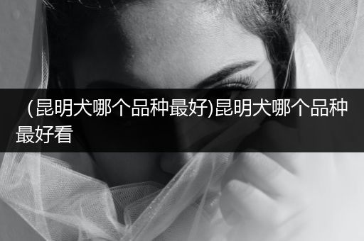 （昆明犬哪個品種最好)昆明犬哪個品種最好看