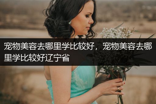 寵物美容去哪里學(xué)比較好，寵物美容去哪里學(xué)比較好遼寧省