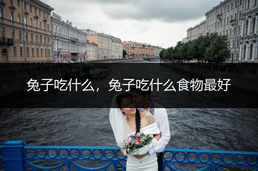 兔子吃什么，兔子吃什么食物最好