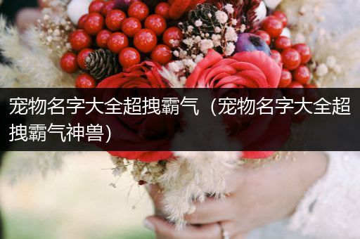 寵物名字大全超拽霸氣（寵物名字大全超拽霸氣神獸）