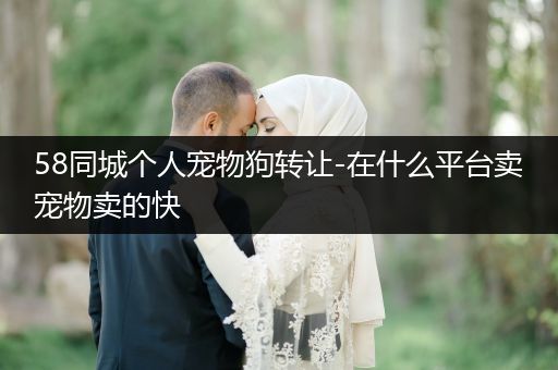 58同城個人寵物狗轉(zhuǎn)讓-在什么平臺賣寵物賣的快