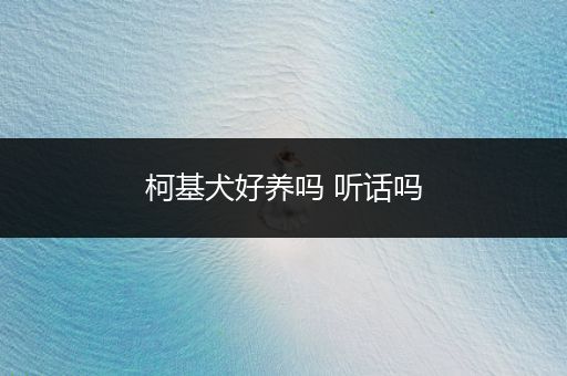 柯基犬好養(yǎng)嗎 聽話嗎