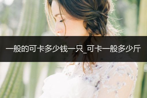 一般的可卡多少錢一只_可卡一般多少斤