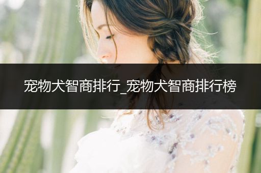 寵物犬智商排行_寵物犬智商排行榜