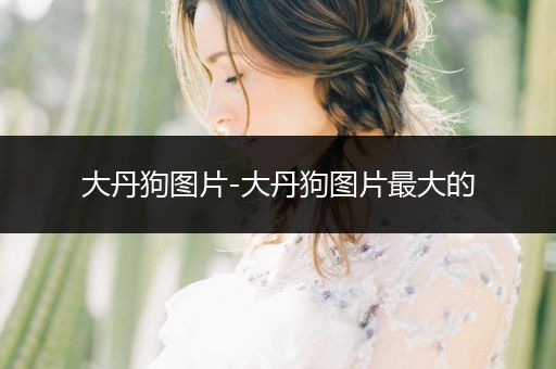大丹狗圖片-大丹狗圖片最大的