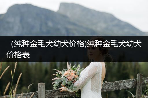 （純種金毛犬幼犬價(jià)格)純種金毛犬幼犬價(jià)格表