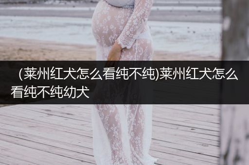 （萊州紅犬怎么看純不純)萊州紅犬怎么看純不純幼犬