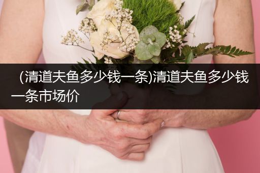 （清道夫魚多少錢一條)清道夫魚多少錢一條市場(chǎng)價(jià)