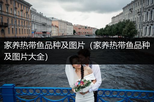 家養(yǎng)熱帶魚(yú)品種及圖片（家養(yǎng)熱帶魚(yú)品種及圖片大全）