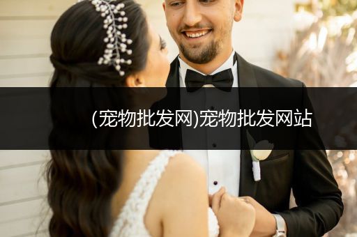 （寵物批發(fā)網(wǎng))寵物批發(fā)網(wǎng)站