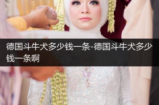 德國斗牛犬多少錢一條-德國斗牛犬多少錢一條啊