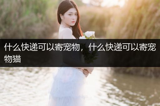 什么快遞可以寄寵物，什么快遞可以寄寵物貓