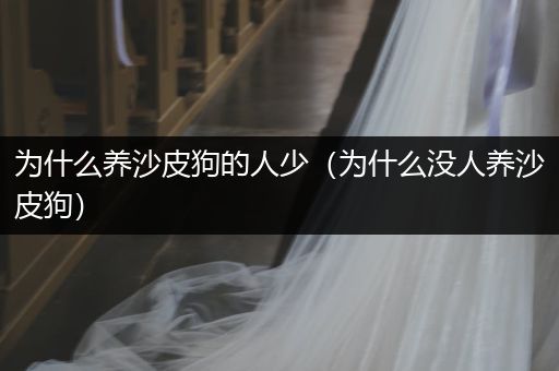 為什么養(yǎng)沙皮狗的人少（為什么沒人養(yǎng)沙皮狗）