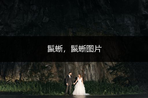 鬣蜥，鬣蜥圖片