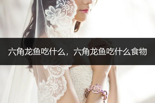 六角龍魚吃什么，六角龍魚吃什么食物