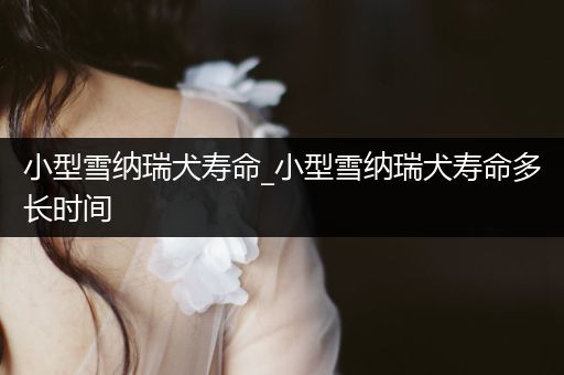 小型雪納瑞犬壽命_小型雪納瑞犬壽命多長(zhǎng)時(shí)間