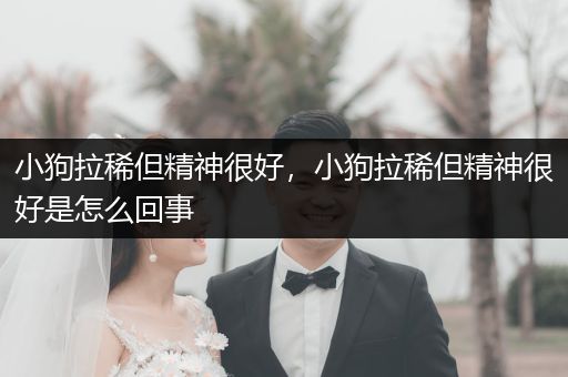 小狗拉稀但精神很好，小狗拉稀但精神很好是怎么回事