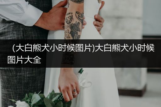 （大白熊犬小時(shí)候圖片)大白熊犬小時(shí)候圖片大全