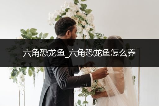 六角恐龍魚_六角恐龍魚怎么養(yǎng)