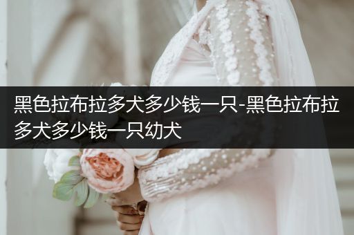 黑色拉布拉多犬多少錢一只-黑色拉布拉多犬多少錢一只幼犬