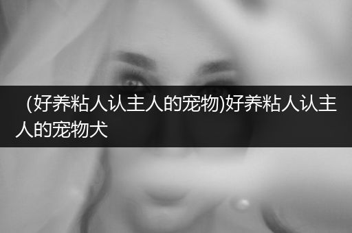 （好養(yǎng)粘人認(rèn)主人的寵物)好養(yǎng)粘人認(rèn)主人的寵物犬