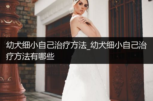 幼犬細(xì)小自己治療方法_幼犬細(xì)小自己治療方法有哪些