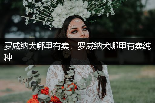 羅威納犬哪里有賣，羅威納犬哪里有賣純種