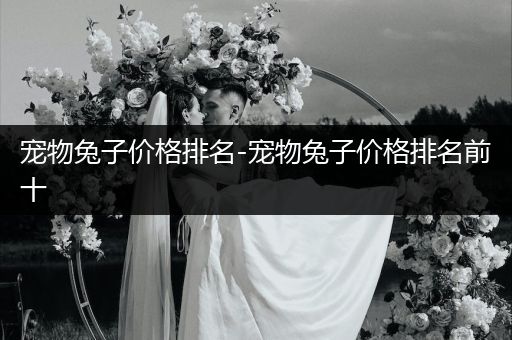 寵物兔子價(jià)格排名-寵物兔子價(jià)格排名前十