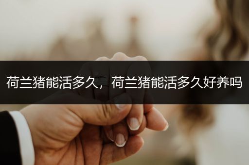 荷蘭豬能活多久,荷蘭豬能活多久好養(yǎng)嗎