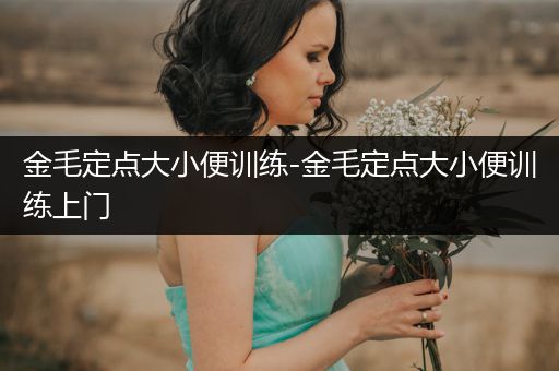 金毛定點(diǎn)大小便訓(xùn)練-金毛定點(diǎn)大小便訓(xùn)練上門