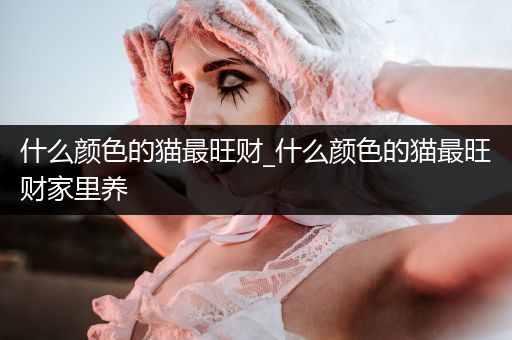 什么顏色的貓最旺財(cái)_什么顏色的貓最旺財(cái)家里養(yǎng)