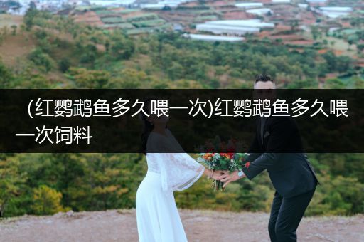 （紅鸚鵡魚多久喂一次)紅鸚鵡魚多久喂一次飼料