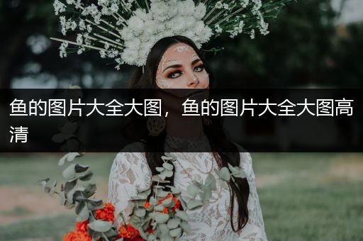 魚的圖片大全大圖，魚的圖片大全大圖高清