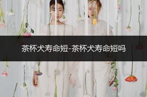 茶杯犬壽命短-茶杯犬壽命短嗎